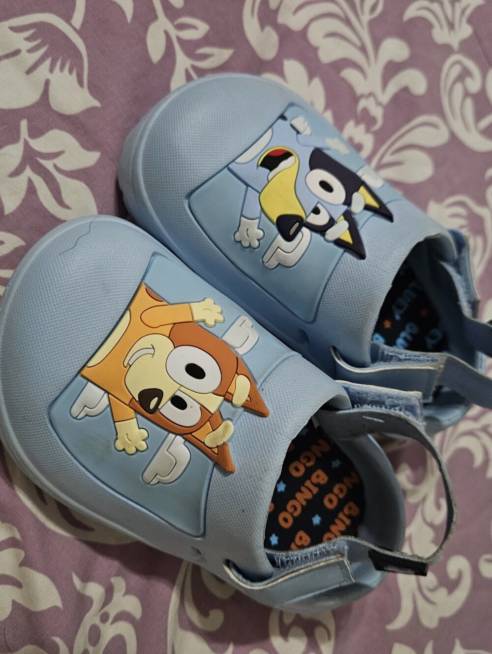Bluey Ground Up Clogs